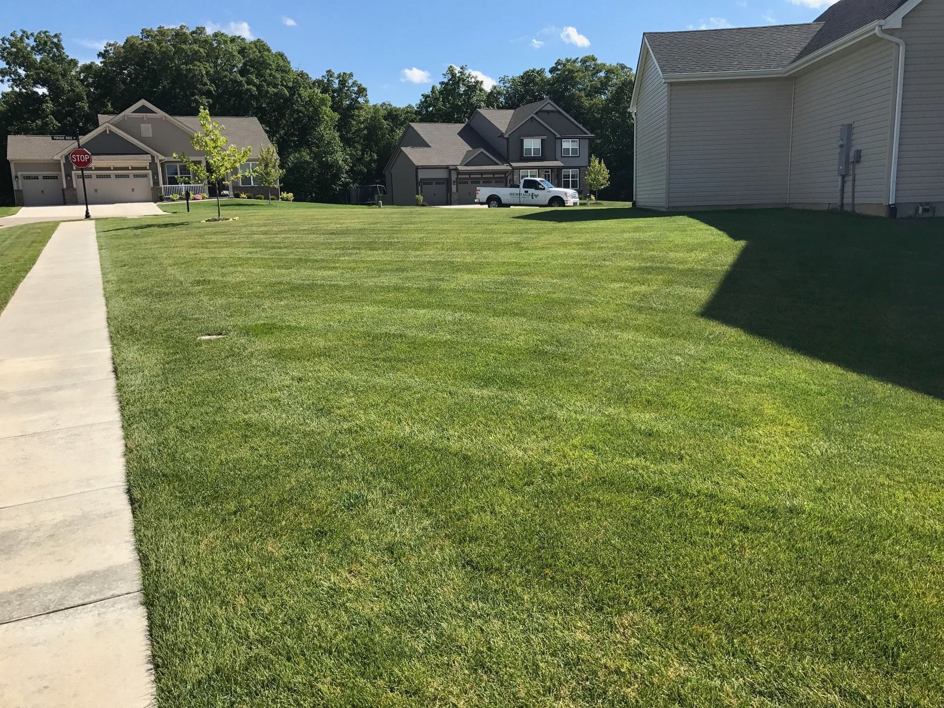 A lush green lawn is surrounded by houses and a sidewalk.