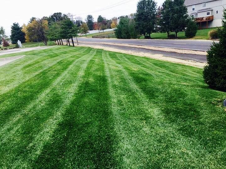 A lush green lawn with a road in the background.