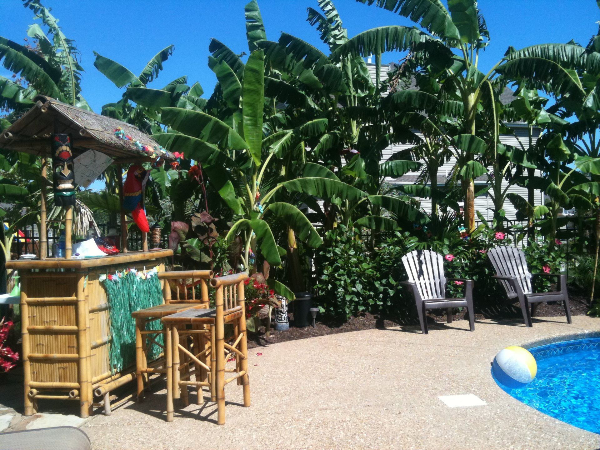A swimming pool with a tiki bar and chairs