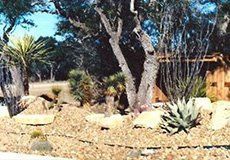landscaping by Anderson's Landscape & Maintenance
