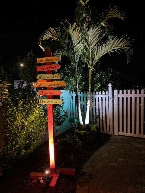 Palm tree with signs