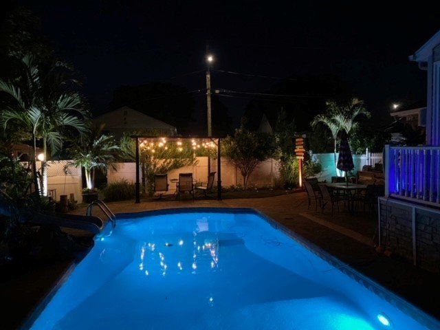 Pool with palm trees