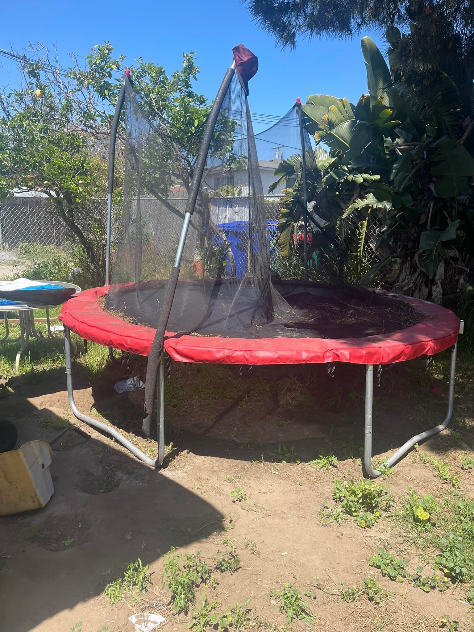 Red trampoline with a safety net in a backyard with grass and trees.