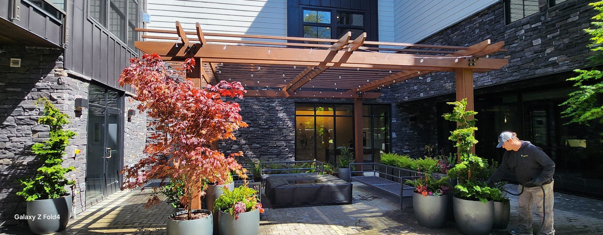 Outdoor plants