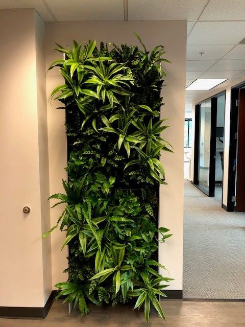 Man looking at variety of plants