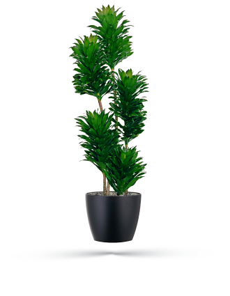 Decorative container