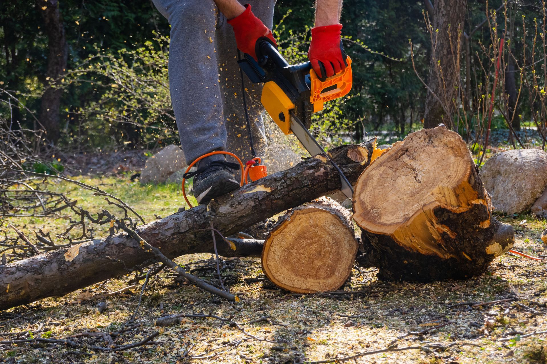 tree service