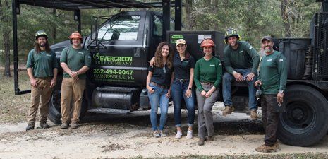 Evergreen Tree Company team