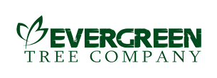 Evergreen Tree Company - Logo
