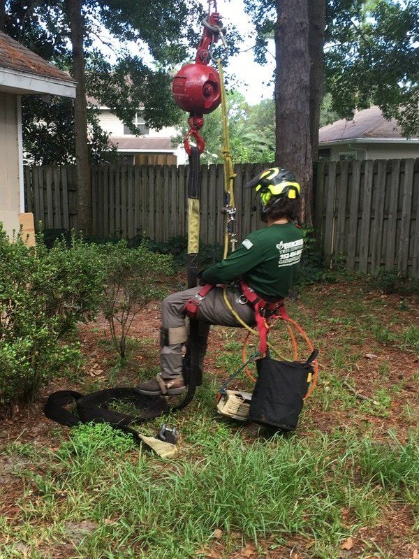 Tree service