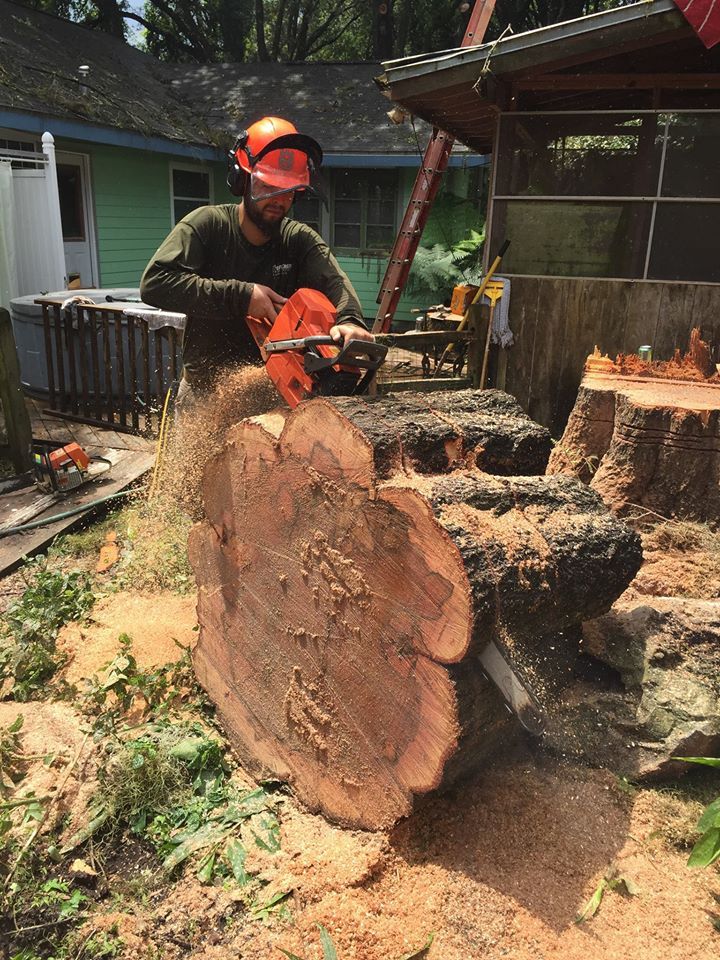 Stump grinding