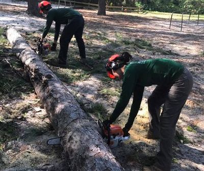 Gaston's Tree Service - Serving North Florida Since 1972