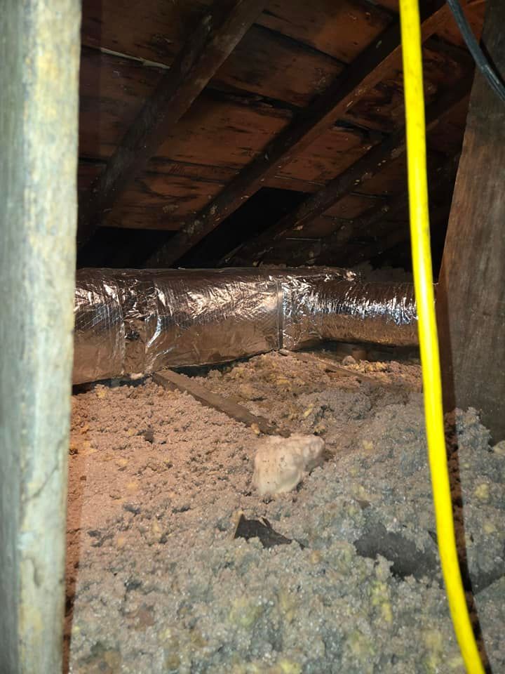 Attic view: Ductwork, insulation, wood beams, and a yellow electrical cable.