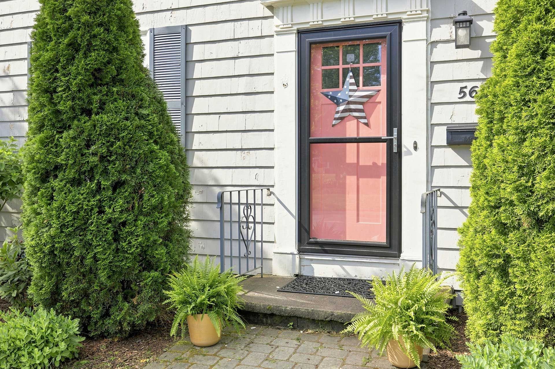 Front door with pink glass panel and star decoration, framed by tall green shrubs and potted plants.