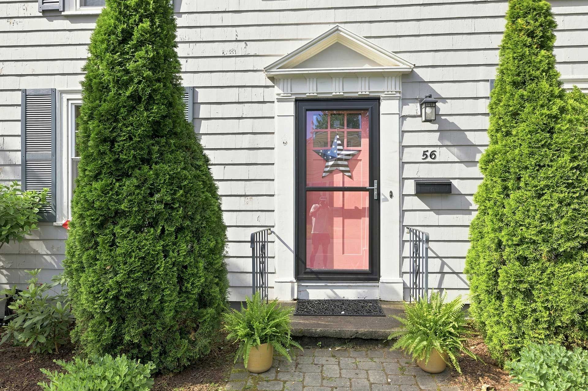 Front entrance with a pink door, black trim, and tall green shrubs beside a house