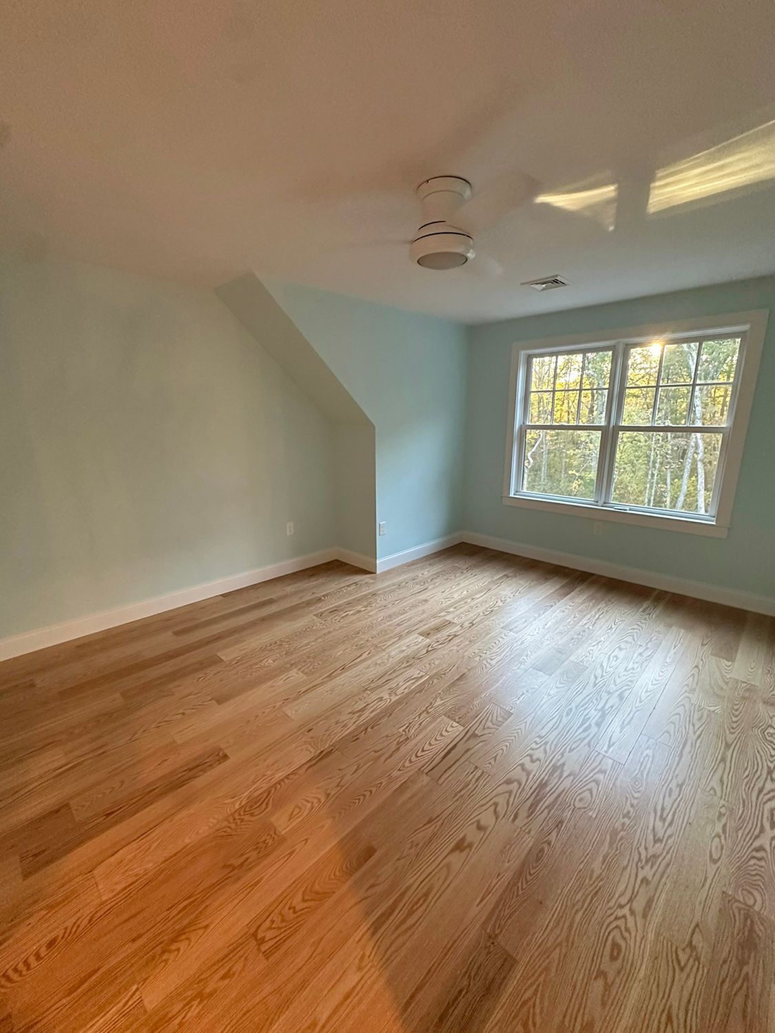 Empty bedroom with hardwood floors, light blue walls, and a window overlooking trees.