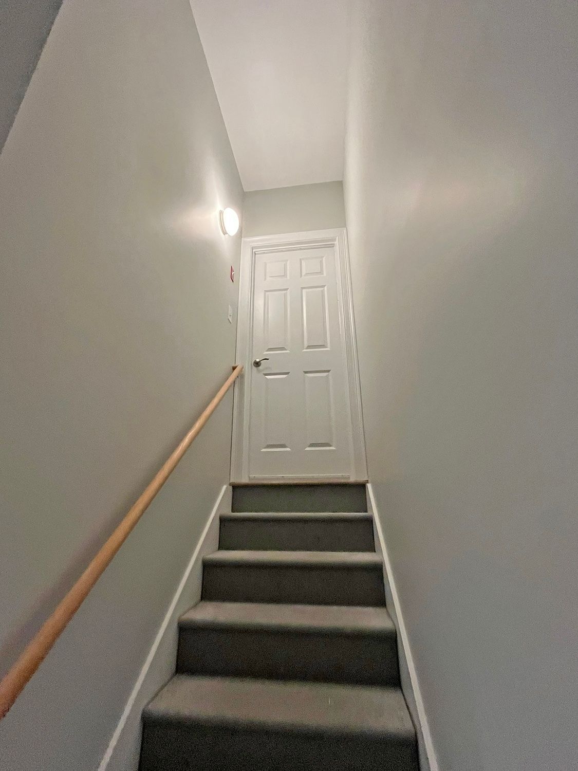 Staircase leading up to a white door. Gray walls, carpeted steps, and a wooden handrail are visible.