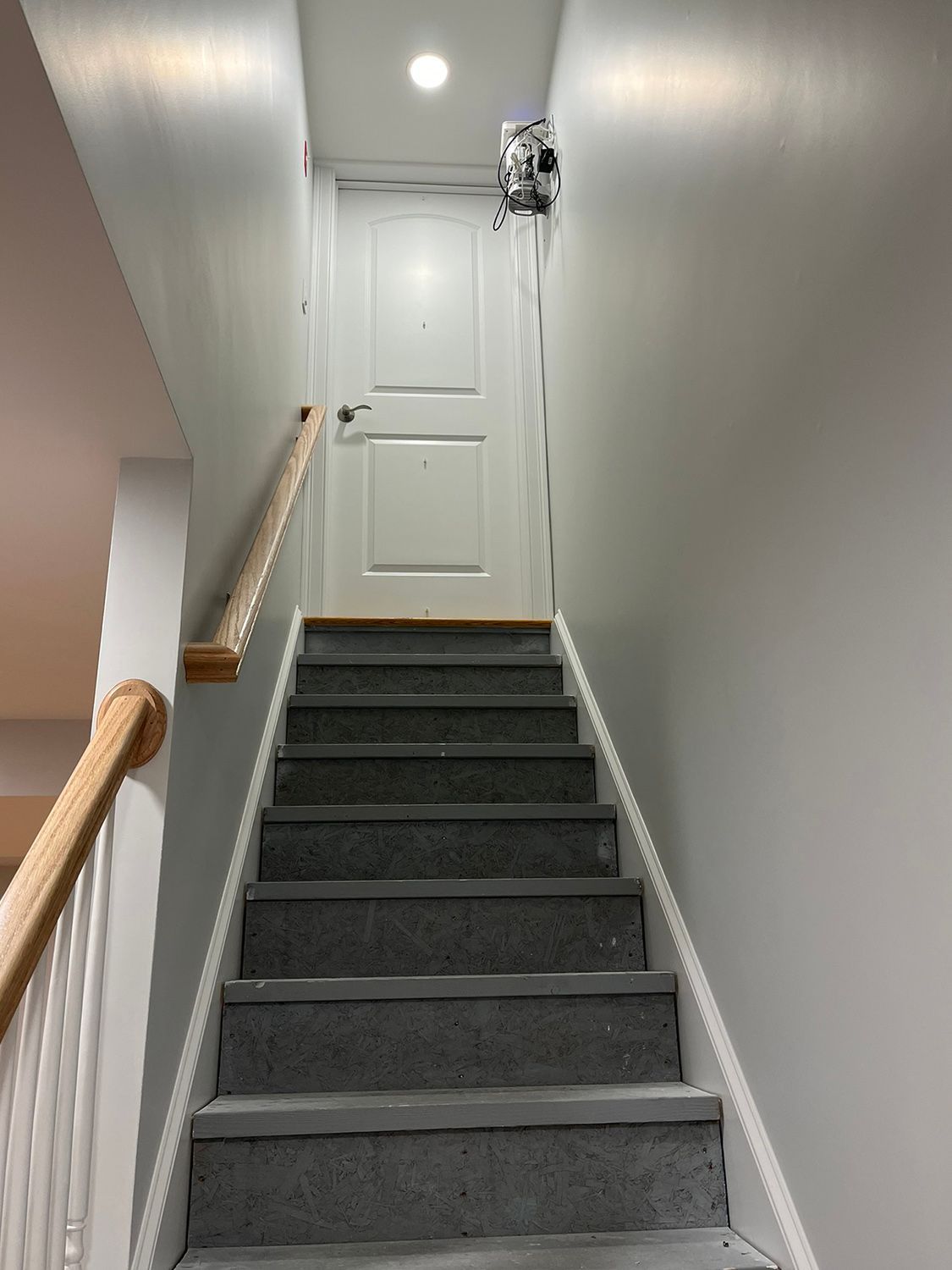 Staircase leading up to a white door. Concrete steps with white trim and wooden handrails.