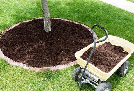 Mulching