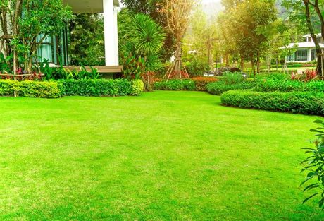Lawn maintenance