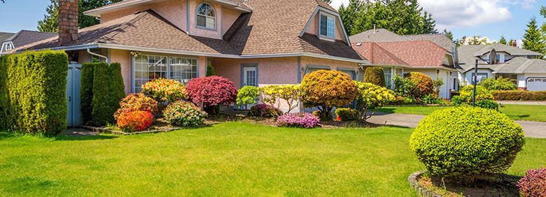 Lawn maintenance