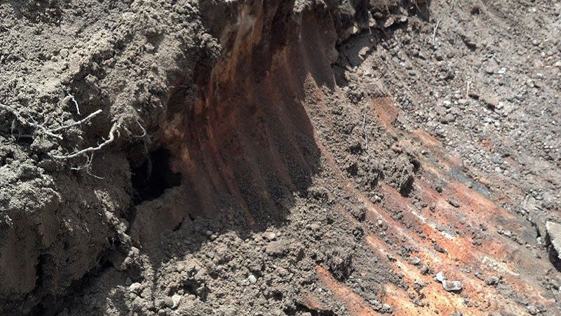 dike construction services