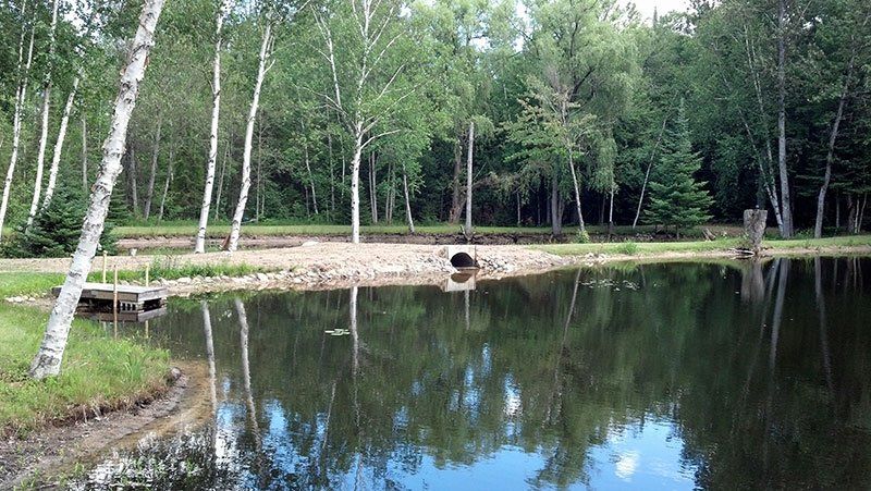 pond shoreline reconstruction