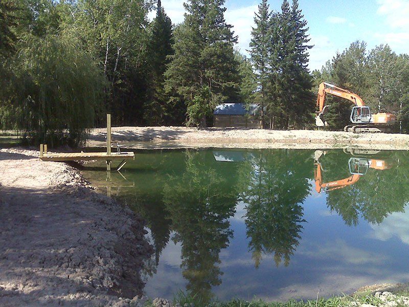 heavy-duty equipment by the pond