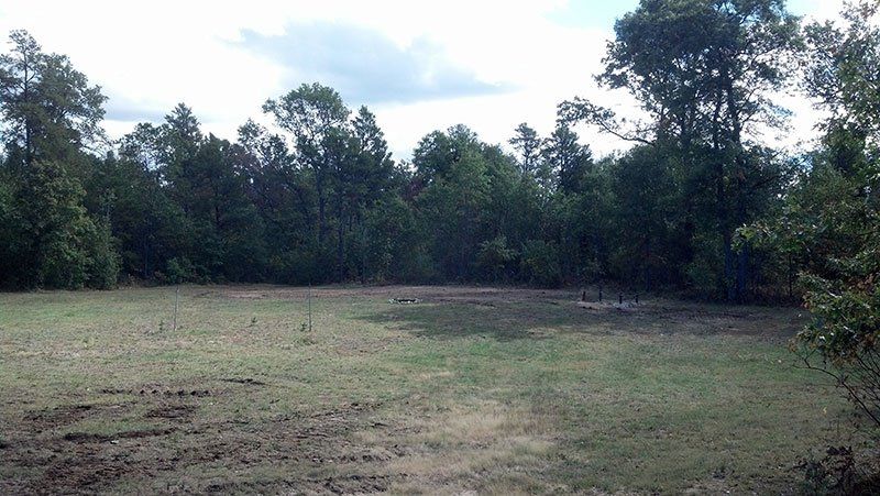 huge deer plot