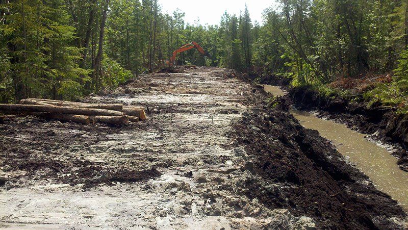 heavy equipment for trenching wet land