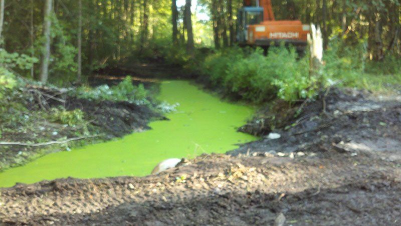 trench with green water