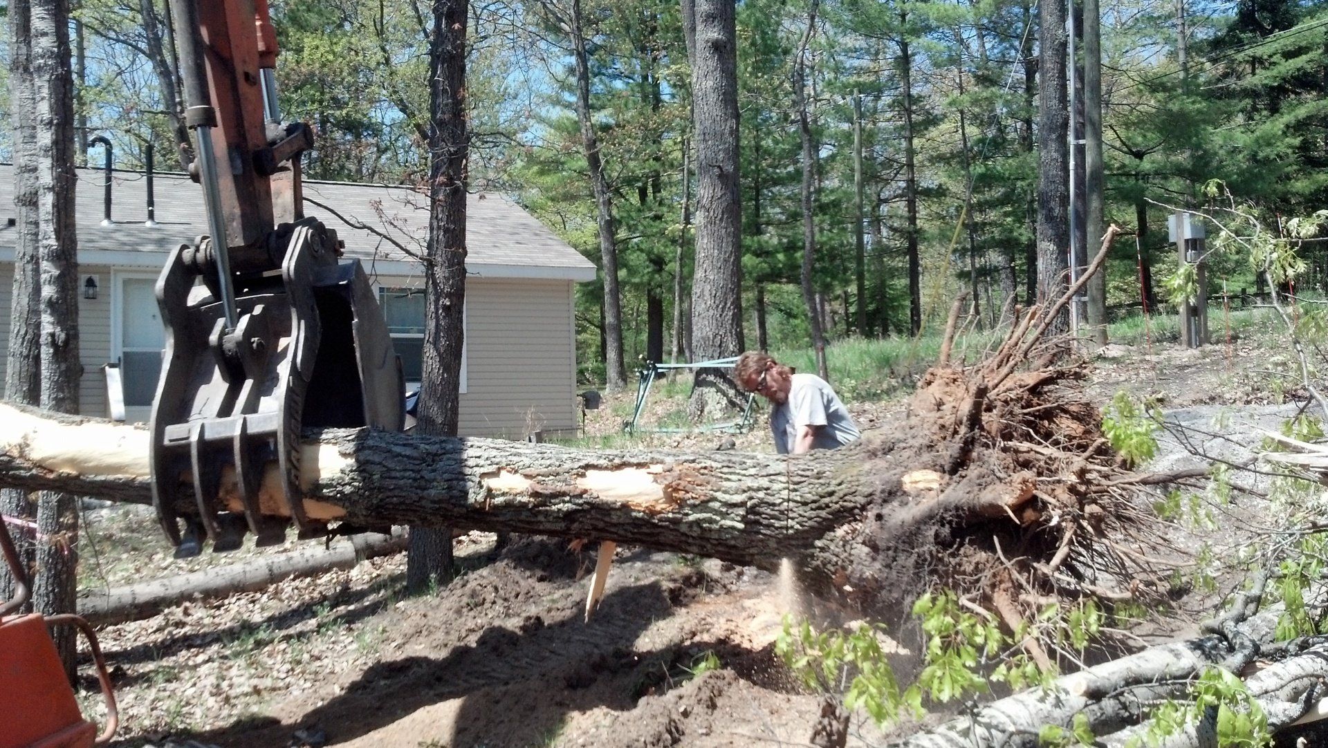 heavy equipment for tree removal
