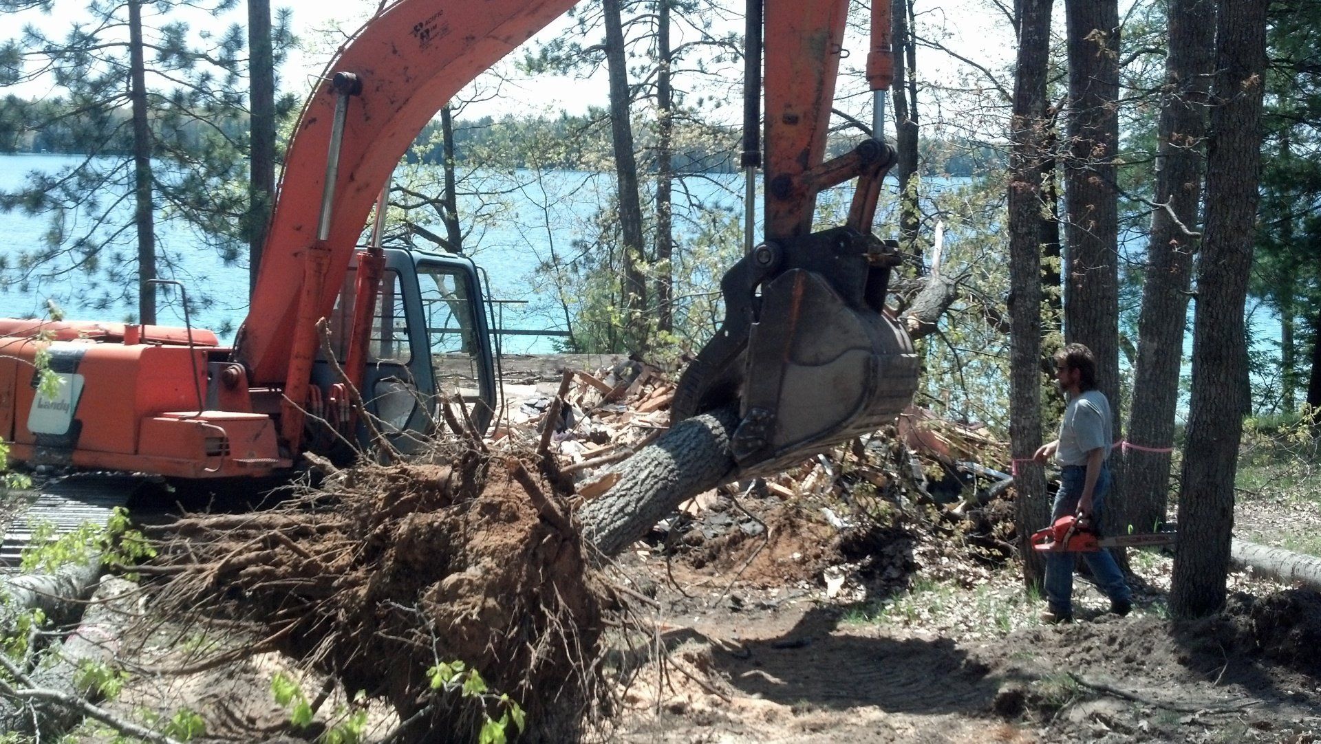 heavy equipment lifting a fallen tree