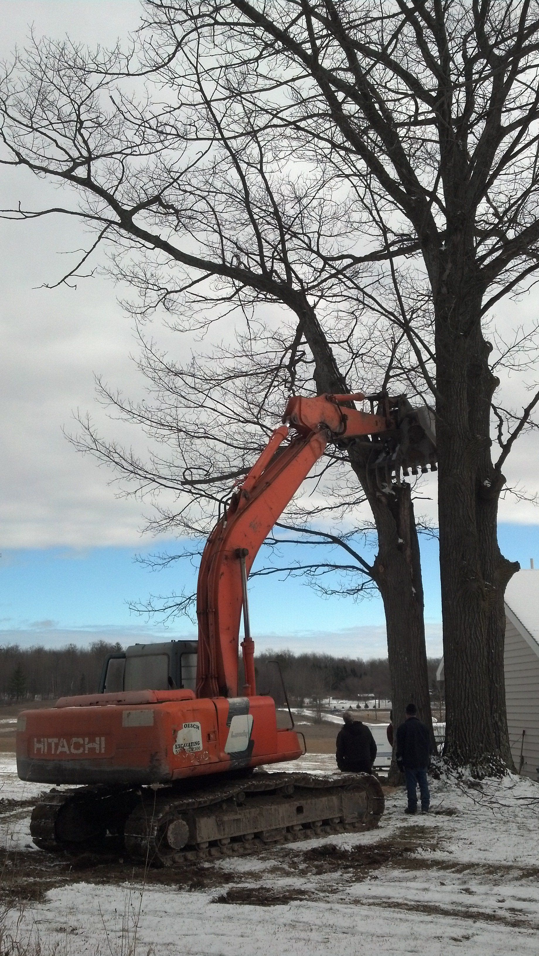 tree service