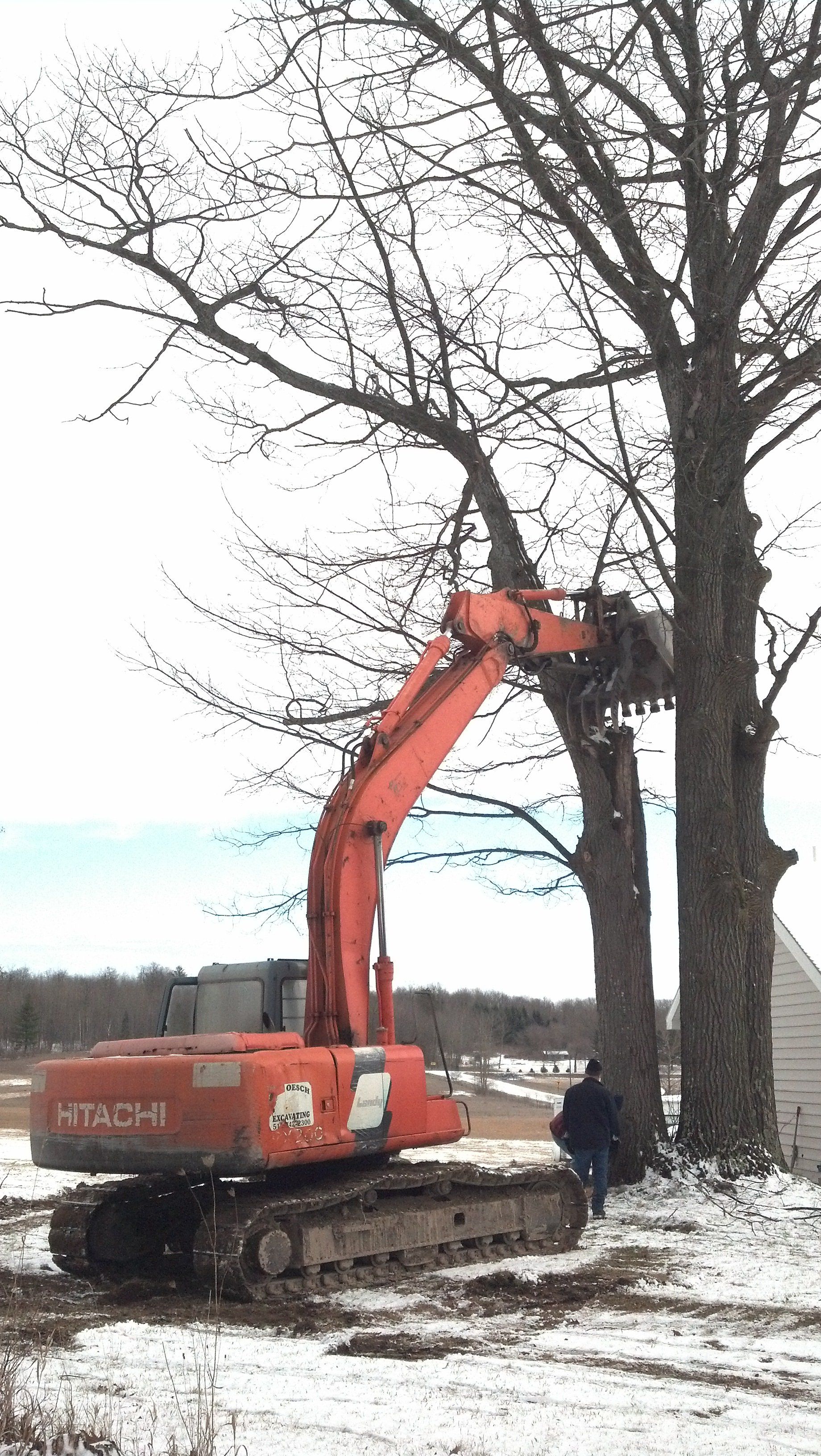 heavy-duty equipment for tree removal