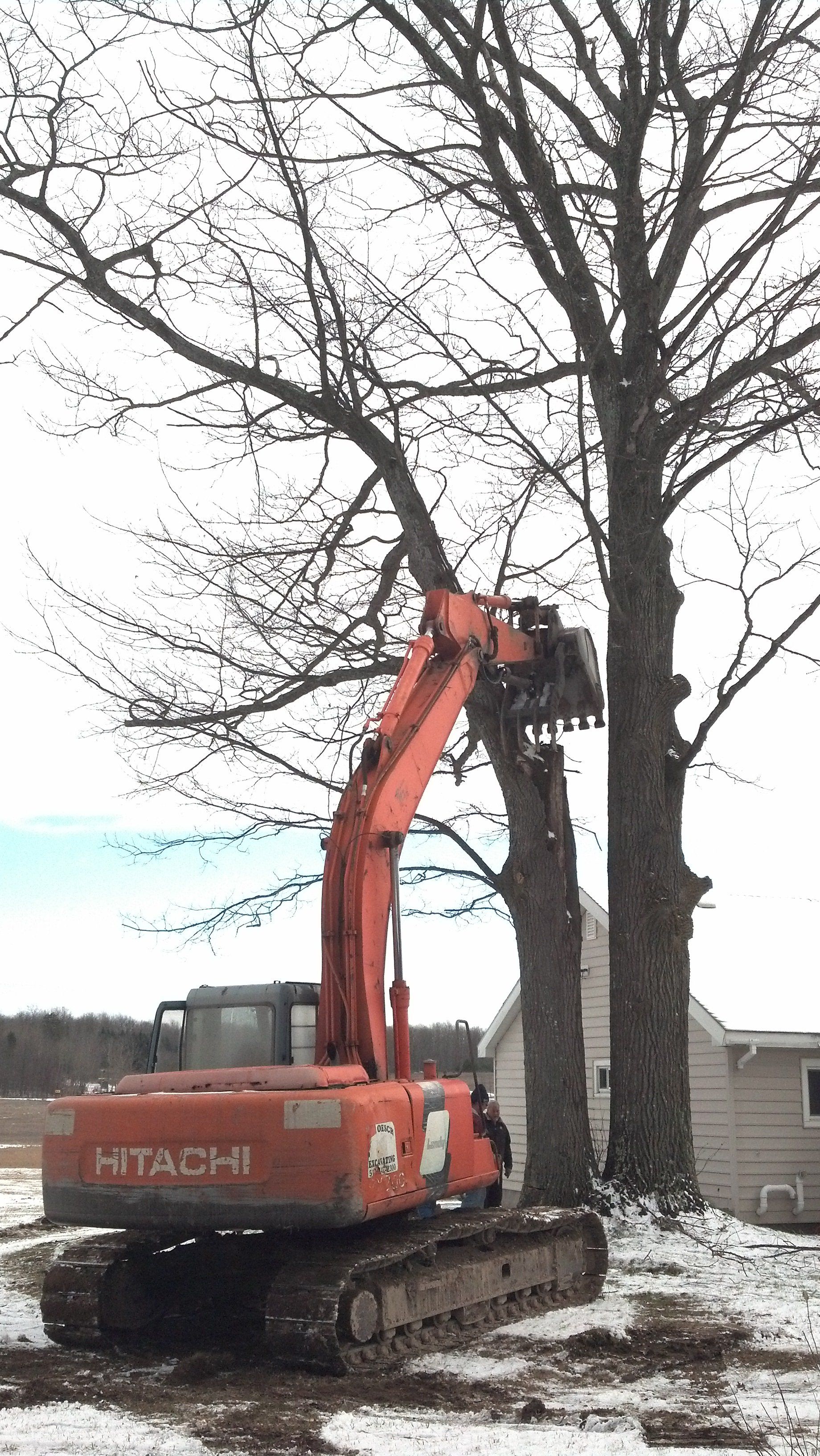 heavy-duty equipment for tree service
