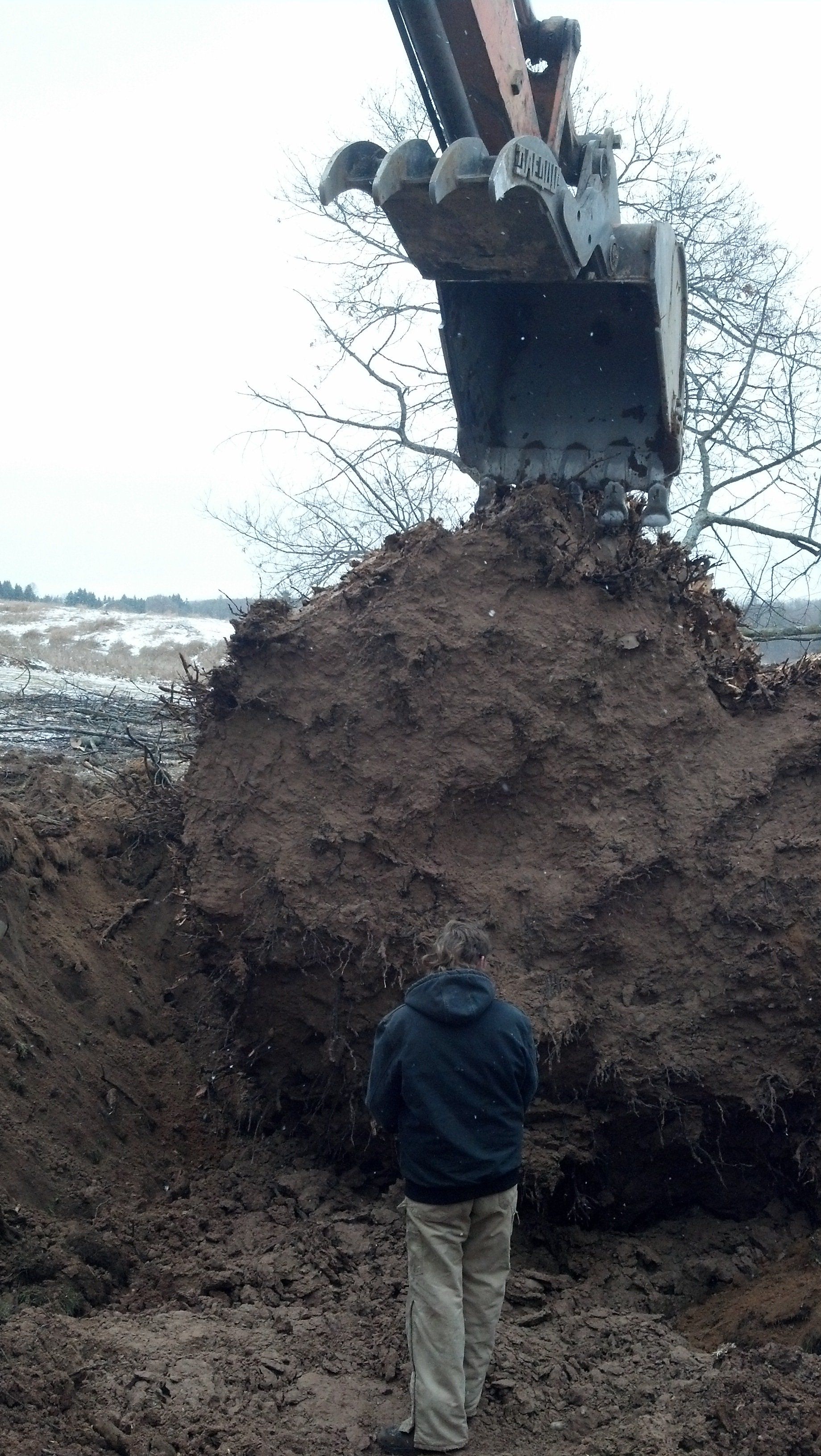 heavy-duty equipment for stump removal