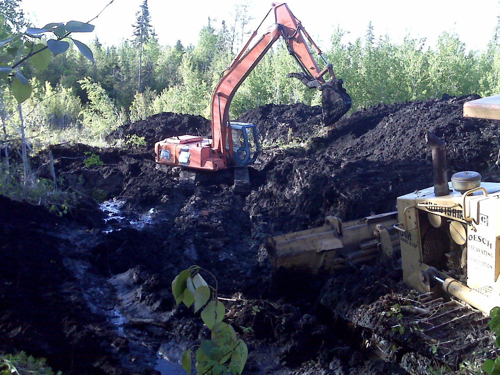 lot clearing project