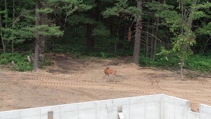 basement construction service