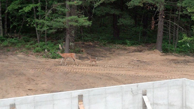 basement construction services