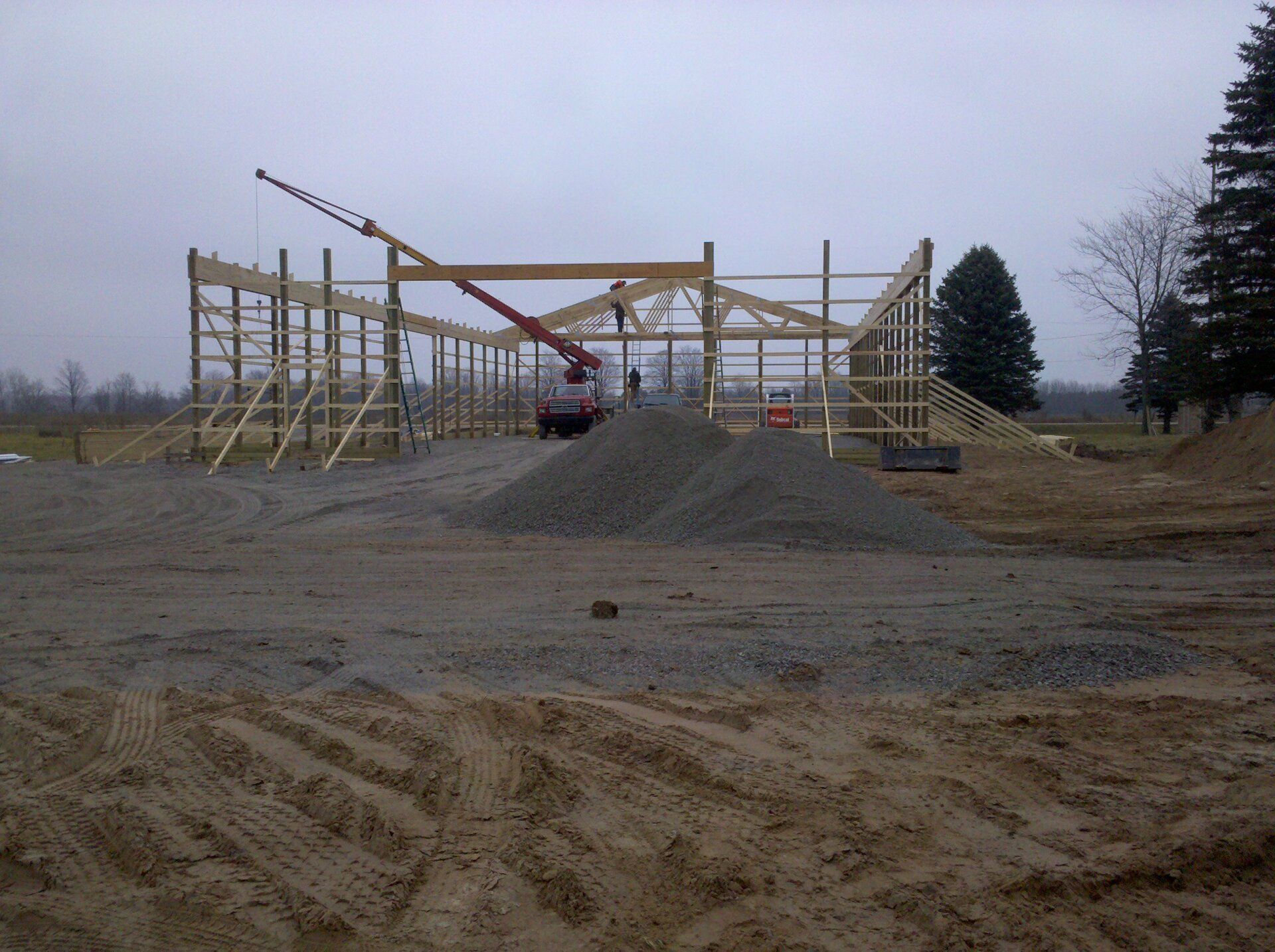 skeleton of a structure