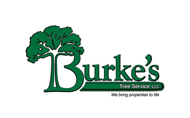 Burke's Tree Service - Logo