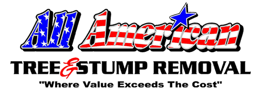 All American Tree Stump Removal logo with blue and red text and a green tree graphic
