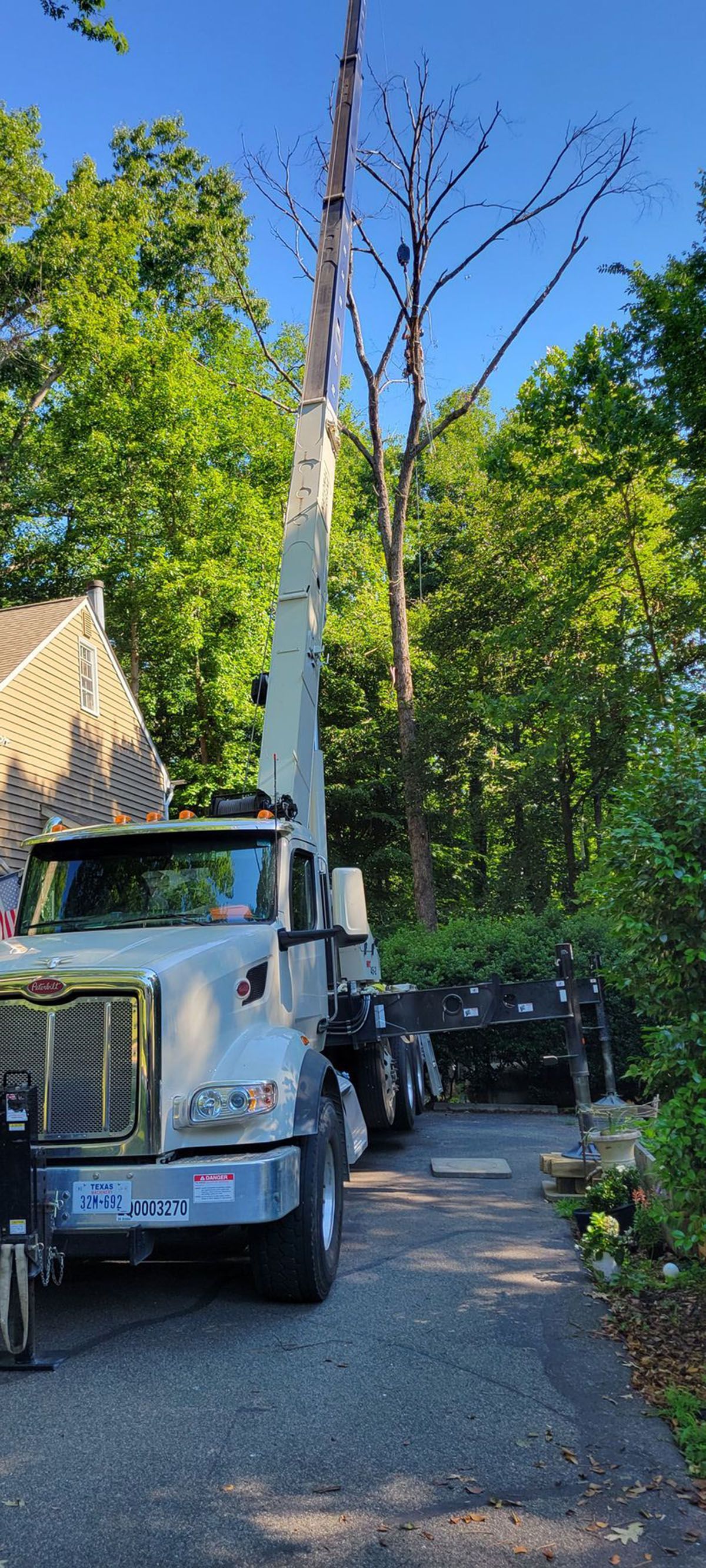 Crane truck lifting a tall tree beside a driveway in a leafy residential area