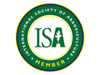 International Society of Arboriculture member logo in green and gold