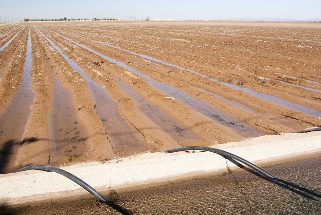 Irrigated farmland with muddy furrows and water channels stretching into the distance