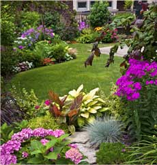 Backyard garden