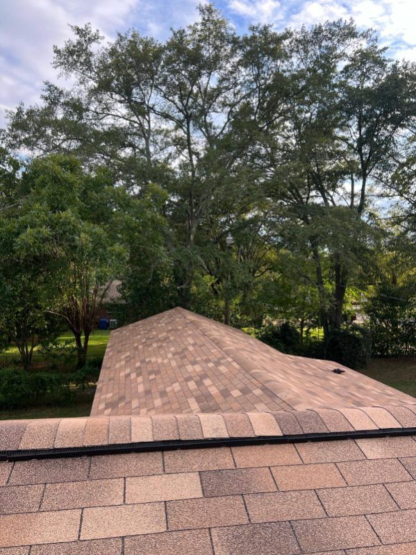 A roof with brown shingles, in front of a backdrop of green trees and a cloudy sky.