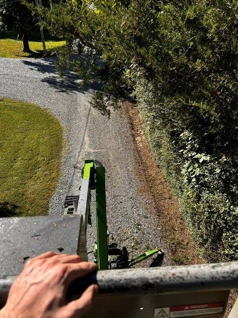 Hand on a green mower overlooking a winding gravel path beside grass and hedges