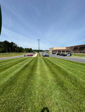 Grassy field leading to a building under a clear blue sky, with cars parked along the road